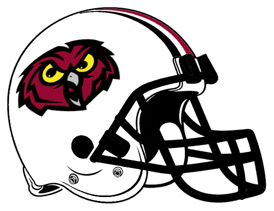 Temple Owls 2000-2003 Helmet Logo DIY iron on transfer (heat transfer)